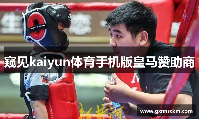 窥见kaiyun体育手机版皇马赞助商